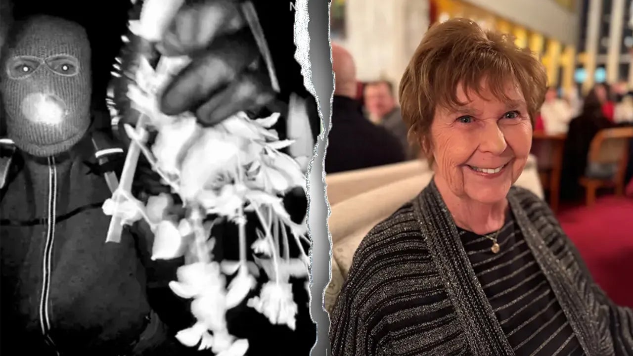 
                            Nancy Guthrie latest: DNA from recovered glove undergoing lab testing, FBI says